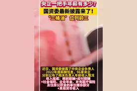 国资委披露央企一把手工资条视频封面