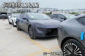 #阿维塔11 #阿维塔12 兄弟姐妹们，是一个视频能包含最多颜色了视频封面