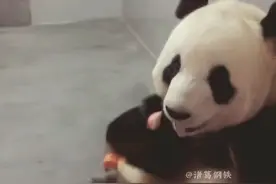 飞云小时候被隔壁金虎传染话唠“嗯嗯”的小奶音太萌了！视频封面