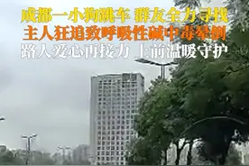 2月24日，成都。#小狗跳车引发的爱心接力 最终狗狗和主人都平安无事，真好！视频封面