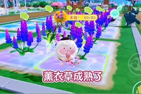 薰衣草成熟了哟，以后我要好好攒农场币升级鱼塘呐！ #蛋仔小剧场