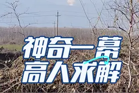 惊奇发现！震惊到我了！秦岭山，万里无云，却出现这柱状云，几分钟内消失。谁能给解释一下……#天文奇观 #天空不明发亮物体 #不可思议 #视频封面