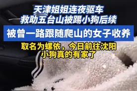 天津姐姐连夜驱车救助五台山被踢小狗后续 被曾一路跟随爬山的女子收养，取名为螺依#五台山小狗  #五台山  #天津dou知道 #沈阳dou知道 #黛螺顶