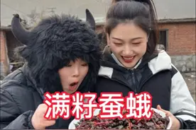 酥脆的满籽蚕蛾，每咬一口都能感觉到蚕籽在齿间爆开的感觉，好吃又好玩#乡村生活家 #新农人计划2024 #满籽大蚕蛾 #内容启发搜索视频封面