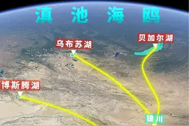 红嘴鸥冬季迁徙路线，飞越6000余公里，到温暖的昆明滇池过冬 #滇池海鸥 #昆明海鸥回来了 #红嘴鸥视频封面