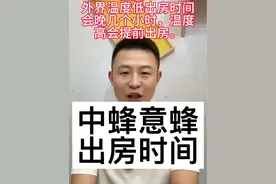 中蜂工作蜂，蜂王，雄蜂是多少天出房，不要搞错了。#养蜂技术分享 #新农人计划2024 #三农 #农村养蜂人 #蜂王