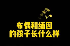 布偶➕缅因的孩子长什么样#布偶猫  #缅因猫 #银虎斑缅因 #潦草猫 #缅因布偶