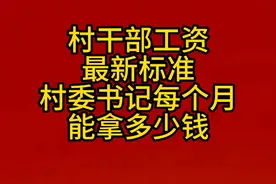村干部工资最新标准村委书记每个月能拿多少钱？ #村干部