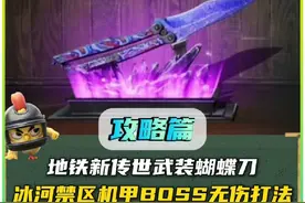 地铁新传世武装蝴蝶刀，冰河禁区顶级BOSS托雷斯怀特无伤打法攻略视频封面