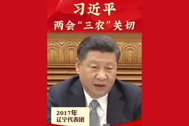 习近平：中国的饭碗一定要端在自己的手里，碗里面主要要装中国的粮食，或者说我们有能力随时生产出足够装进我们饭碗的中国粮食。#习近平两会三农关切 #2025全国两会视频封面
