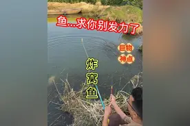 水面全是泡泡没想到是巨物#钓鱼人就是这么疯狂 #原来钓鱼才是抖音运动顶流 #钓鱼的乐趣只有钓鱼人懂 #爱生活爱钓鱼 #只有钓鱼人才会喜欢这样的环境
