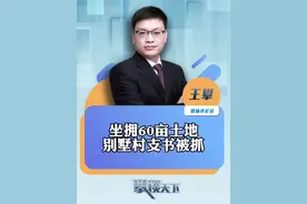 #村支书坐拥60亩地盖别墅被批捕 三个问题待解！#攀谈天下 #抖音热评视频封面