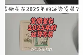 紫微星在2025年的运势发展？ #塔罗 #塔罗测试 #阿紫 #紫微星视频封面