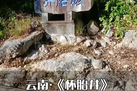 有这样一口井，喝一口就会怀孕，喝两就会生双胞胎，这难道是西游记里的女儿国吗？#旅游 #旅行 #云南 #怀胎井 #旅游推荐 @DOU+小助手
