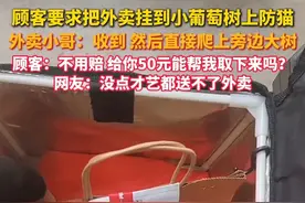 #外卖小哥企业级理解顾客要求挂树上 ，网友：没点才艺都送不了外卖。   @顶风行【丰县食品运输管理高级分析师】  @思钱&想厚视频封面