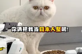完了我好像又误会童童了 #蓝氏天然乳鸽粮 #蓝氏猫粮 #科技改变生活