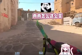 女玩家开麦和闭麦的区别 #cs2 #肉肉的单排日记视频封面