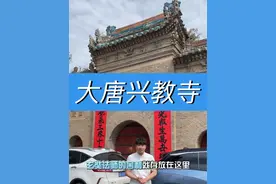 西安最低调的寺院，唐僧的舍利子竟然存放在这里。#兴教寺 #玄奘 #舍利子视频封面