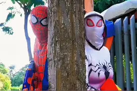 蜘蛛侠大战小丑怪 黑暗蜘蛛侠被小丑怪迷晕倒地视频封面