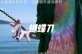 来自菲律宾的特工神器#蝴蝶刀 #武器科普