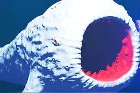 食海者的全部你見過吗 食海者的全部你見過吗 #二次元 #海洋生物