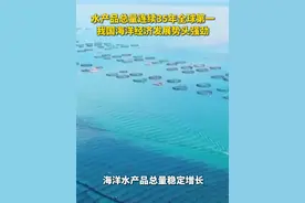 水产品总量连续35年全球第一！我国海洋经济发展势头强劲视频封面