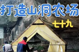 冬至已到有下雪的可能，把帐篷放进山洞以免被雪压坏 #新农人计划2024 #三农 #农村创业养殖 打造山洞农场79集视频封面