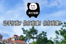 暴躁小可爱一句“你打我噻”把渣男气得火冒三丈😂 #岑先生