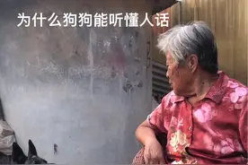 灰宝对山东话的理解#创作灵感 #不养狗不知道养狗的乐趣 #萌宠出道计划 #狗狗的心思都写在脸上了 #狗狗是生活的解药 @DOU+小助手 @抖音短视频视频封面