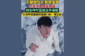 于朦胧坠亡网友呼吁蓝底白字通报（极目新闻）