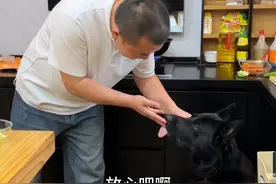 给小狗做一顿饭#爱小狗的一百种方式#克瑞娜的生活日记 #万物可爱计划视频封面