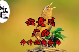 各位，我不是军人，无法行军礼！请退后，让我给先辈磕三个响头