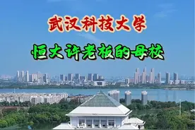 武汉科技大学简称武科大，是湖北排名第八的双一流高校，曾经的恒大许老板就是这里毕业的。#武汉科技大学 #湖北985/211学校 #学校风景视频封面