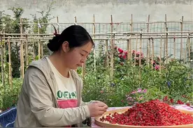 去山里摘了几筐瓢儿，做成草莓酱留住青海的夏天吧#我的乡村生活 #瓢子熟了 #野草莓 #童年味道 #我在乡村做美食视频封面