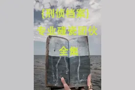 广东省茂名市《涉黑团伙的覆灭》#严惩黑恶势力 #打黑扫恶视频封面