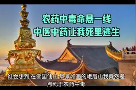 草甘膦农药中毒命悬一线，中医中药让我死里逃生