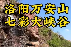 洛阳本地人是不是都去过这里？1.4米以下和60岁以上还免门票视频封面