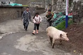 生活以痛吻我，我却报之以歌、荆棘路上才出的脚印，才是最美的勋章、感谢上天赐予的两个宝贝、向前走，天总会亮的。#我的乡村生活 #人间烟火 #农村孩子的童年 #懂事的孩子 #农村小磊哥视频封面