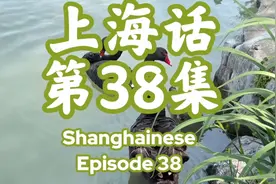 上海： 7个中心城区包括： 黄浦区（原黄浦区 加原南市区视频封面