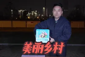 美丽乡村！安排！#熊猫烟花 @熊猫焰火视频封面