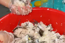 制作鱼茶#记录我的农村生活 #海南特色美食 #农村美食