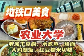 沈农地铁开通！盘点11家宝藏小店 #美食vlog  #地铁口美食 #真的很summer #我的夏天从傍晚开始 #沈阳农业大学视频封面