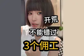 佣工让我体验了资本家的快乐！干活！但不需要付工资！！