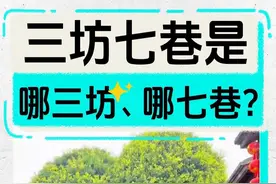 何为坊？何为巷？为什么古代达官贵人更愿意买房子在坊当中？#人类对福州玩法的开发不足一成  #烟火南城视频封面
