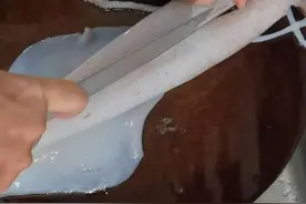 咱们这道家烧鱿鱼，不焯水也能一气呵成，即便你是新手小白也能学得会！#抖音美食创作人