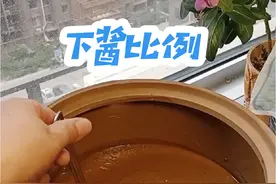 做酱好不好吃下酱比例很重要#东北大酱 #纯手工零添加 #家乡的美食 #天然酱香浓郁的黄豆酱 #大酱制作过程  @抖音短视频 @抖音创作者中心 @抖音美食达人助手视频封面