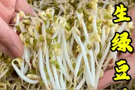 还是自己家生的绿豆芽好吃呀#农村美食 #抖音创作季 #新农人计划2025 #自发绿豆芽