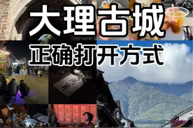 吐血总结，写给第一次来大理的你，古城内的吃喝玩乐都有，一定要看。 #有一种生活叫大理 #头号攻略玩家 #我的旅行日记 #大理旅游攻略 #大理古城溜街指南视频封面