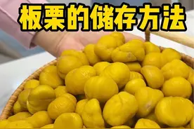很多人都在保存板栗，老一辈好方法，大量长久保存口感新鲜不发黑#板栗 #板栗去壳妙招 #板栗保存方法 #好吃到停不下来视频封面