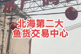 大家来北海不要只知道侨港电建码头了，北海第二大鱼货交易中心-水产码头，今天带你们来看看#水产码头 #北海旅游攻略视频封面
